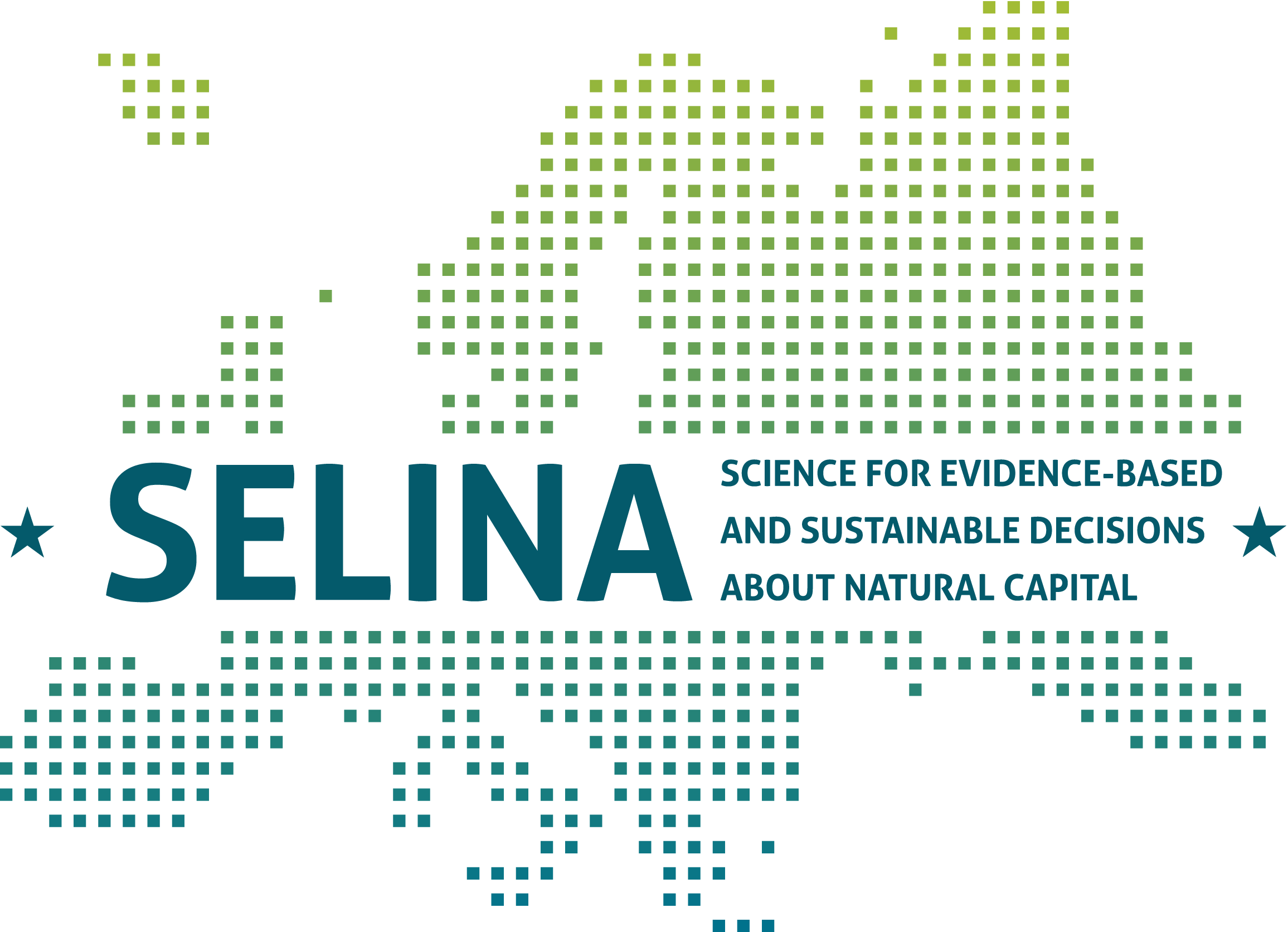 SELINA project