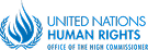 United Nations Human Rights
