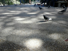 Cohab Partner Spotlight - new series