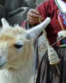 Fundraiser - Promoting indigenous and local voices in global science and policy